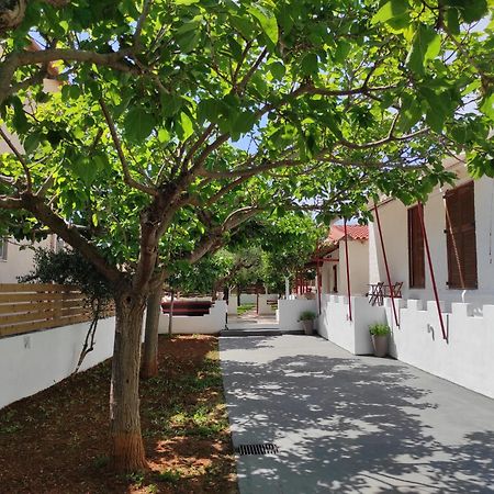 Riglia George'S Houses חדר תמונה