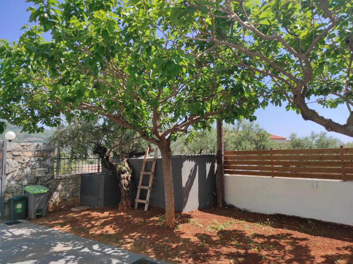 Riglia George'S Houses מראה חיצוני תמונה