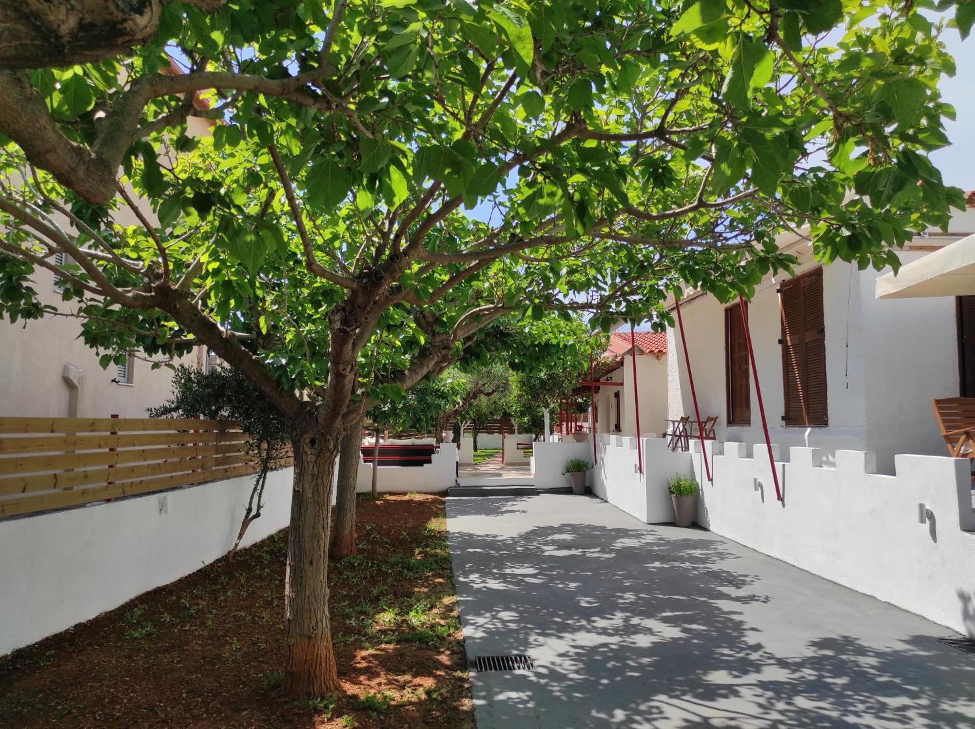 Riglia George'S Houses חדר תמונה